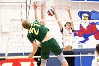 2017_0404 Los Alamitos Varsity vs Edison Volleyball