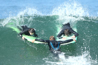 M&M Surf School 06/08/21